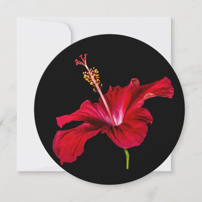 Red Hibiscus Flower Side View Invitation (Front)