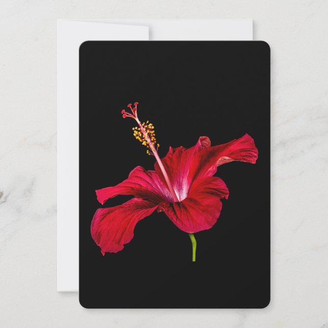 Red Hibiscus Flower Side View Invitation (Front)