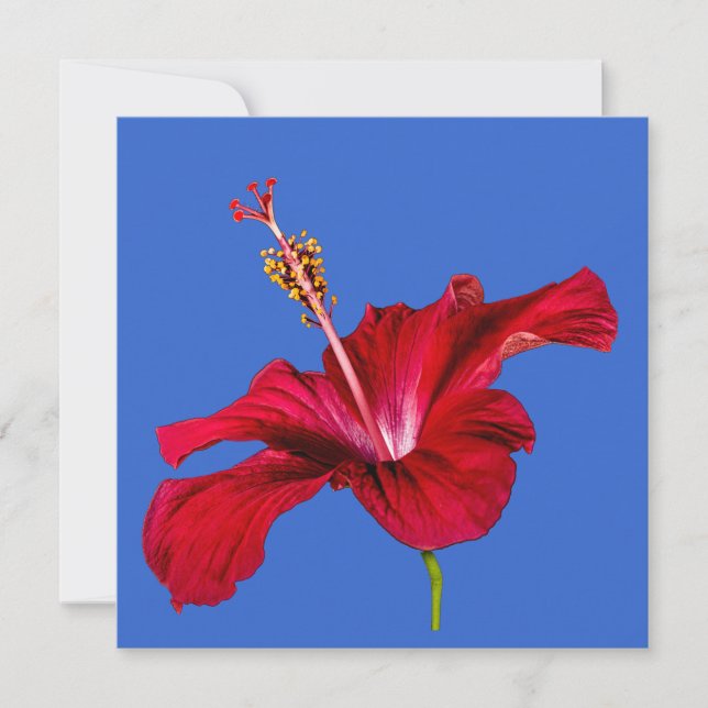 Red Hibiscus Flower Side View Invitation (Front)