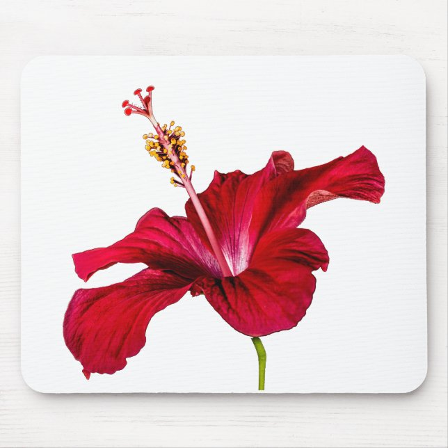 Red Hibiscus Flower Side View Mouse Pad (Front)