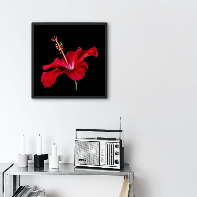 Red Hibiscus Flower Side View Small Poster (Creator Uploaded)