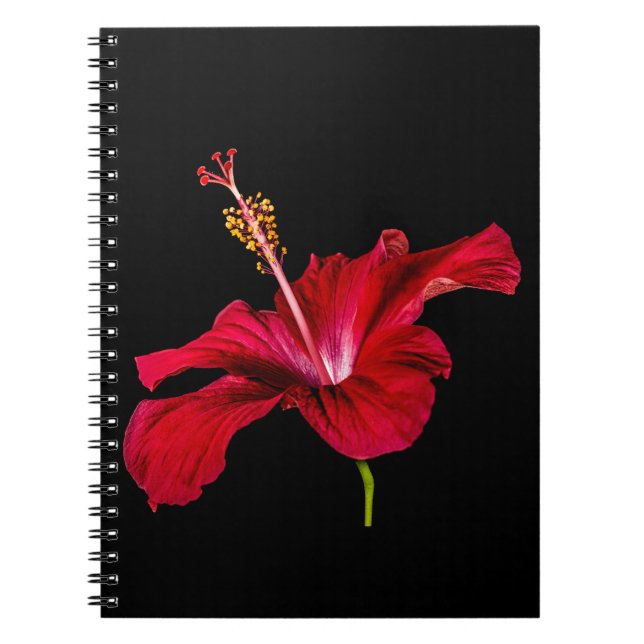 Red Hibiscus Flower Side View Spiral Notebook (Front)
