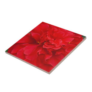 Red hibiscus flower tile