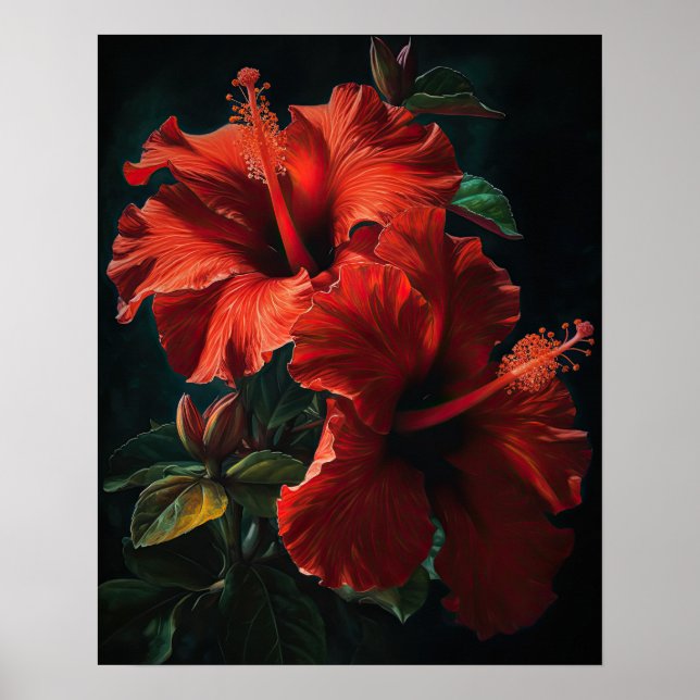 Red Hibiscus Flowers Art Print Poster (Front)