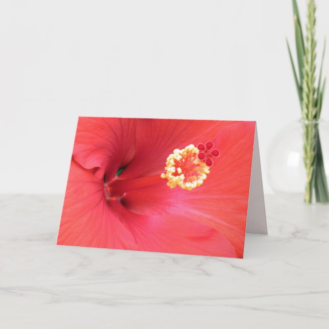 Red Hibiscus Greeting Card (Front)