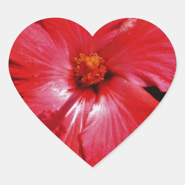 Red Hibiscus Heart Sticker (Front)