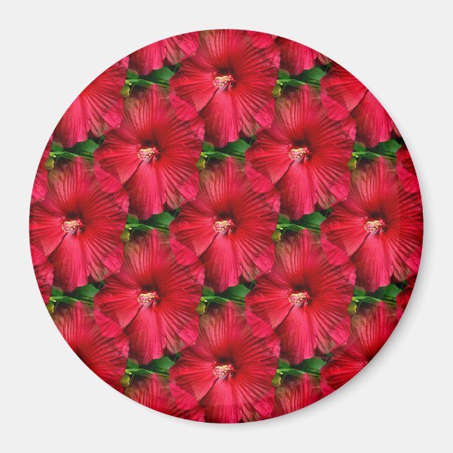 Red Hibiscus........ Magnet (Front)