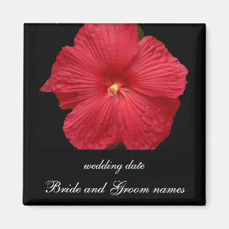 Red Hibiscus Magnet
