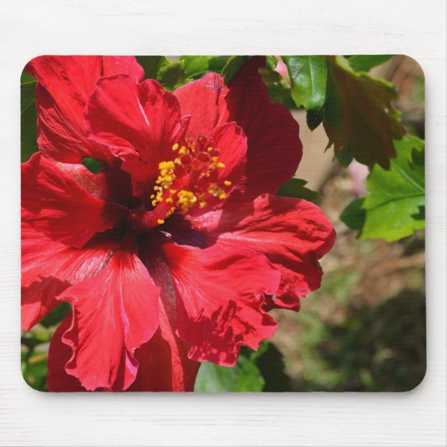 Red Hibiscus Mouse Pad (Front)