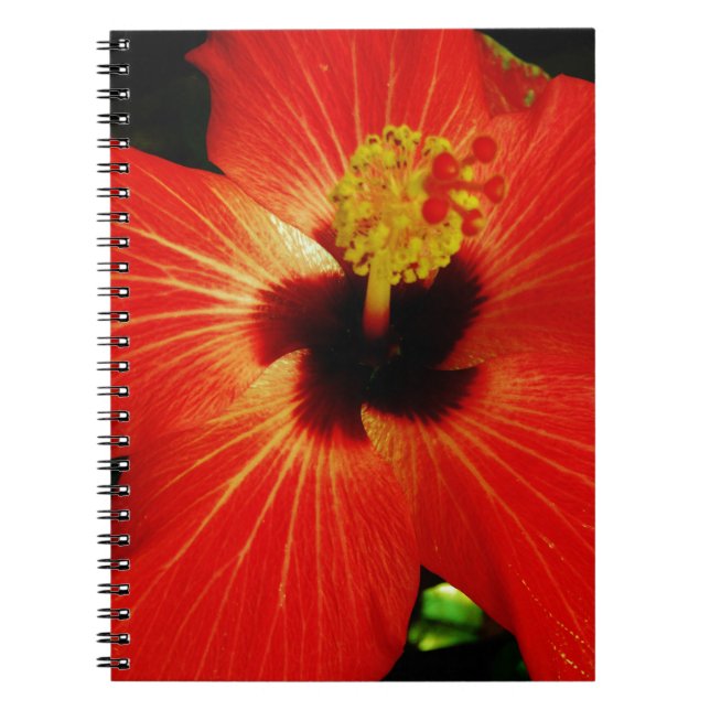 Red Hibiscus Notebook (Front)