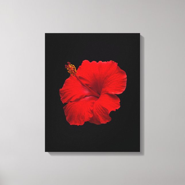 Red Hibiscus on Black - Customised Template Canvas Print (Front)