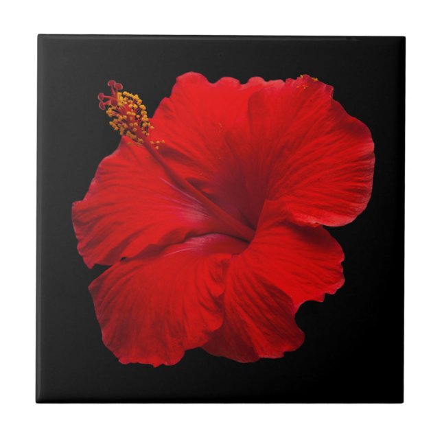Red Hibiscus on Black - Customised Template Tile (Front)