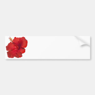 Red Hibiscus on White - Customised Template Bumper Sticker