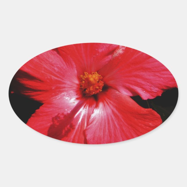 Red Hibiscus Oval Sticker (Front)