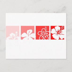 Red Hibiscus pastel design Postcard