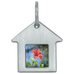 Red Hibiscus Pet Tag