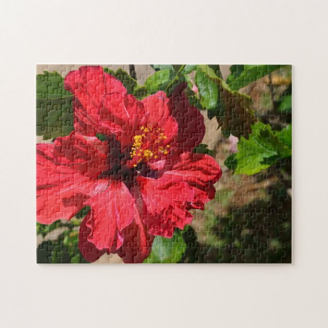 Red Hibiscus Puzzle (Horizontal)