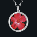 Red Hibiscus Silver Plated Necklace<br><div class="desc">Red Hibiscus Flower Hibiscus is a flowering plants in the mallow family, Malvaceae. It is quite large, containing several hundred species that are native to warm-temperate, subtropical and tropical regions throughout the world. Send a message to sandycloss@gmail.com or sandycloss.smugmug.com if you would like to see any of these designs on...</div>