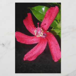 red hibiscus stationery