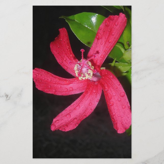 red hibiscus stationery (Front)