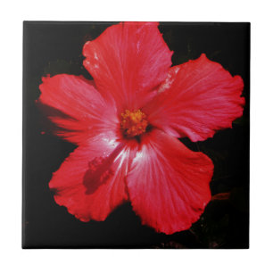 Red Hibiscus Tile