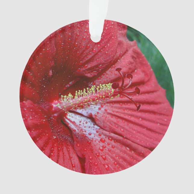 Red Hibiscus With Raindrops Ornament (Front)