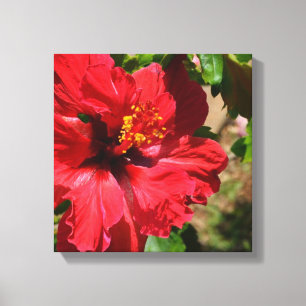 Red Hibiscus Wrapped Canvas