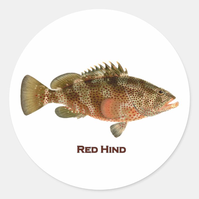Red Hind Classic Round Sticker (Front)