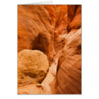 Red Hollow Slot Canyon