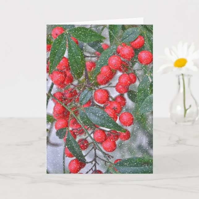 Red Holly Berry Branch and Snow Holiday Christmas Card (Small Plant)