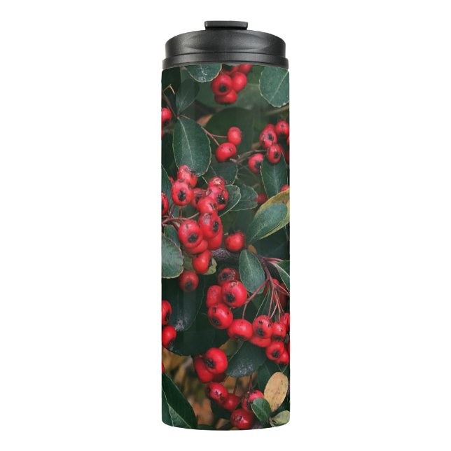 Red Holly berry’s Thermal Tumbler (Front)