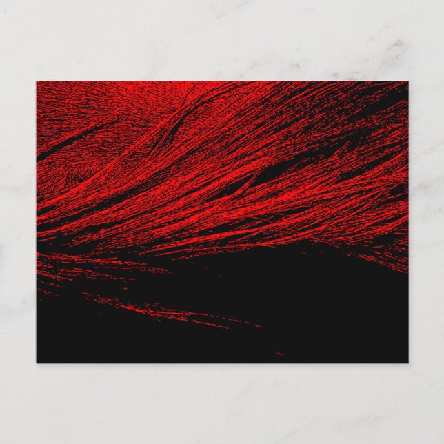 Red Horse Mane Abstract Postcard (Front)