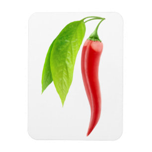 Red hot chilli pepper magnet