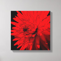 Red Hot Dahlia Flower Abstract Art