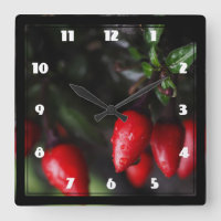 Red Hot Garden Salsa Chilli Peppers.