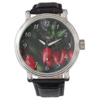 Red Hot Garden Salsa Chilli Peppers.