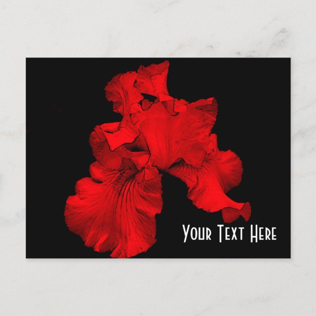 Red Hot Iris Floral Customisable Postcard (Front)