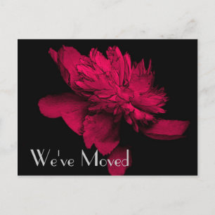Red Hot Peony New Address Floral Art Postcard