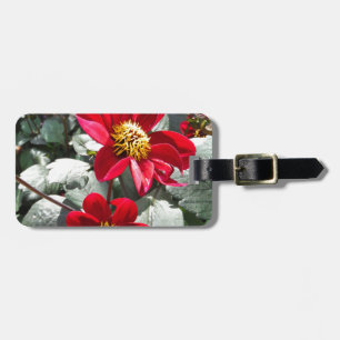 red hot pink daisy / daisies flowers luggage tag