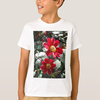 red hot pink daisy / daisies flowers T-Shirt