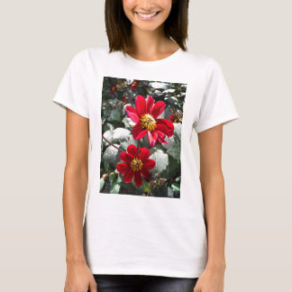 red hot pink daisy / daisies flowers T-Shirt