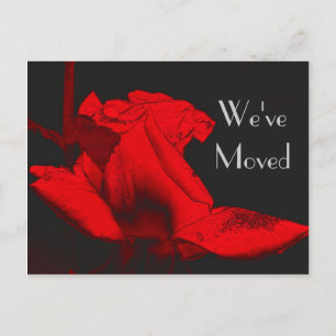 Red Hot Rosebud New Address Floral Art Postcard