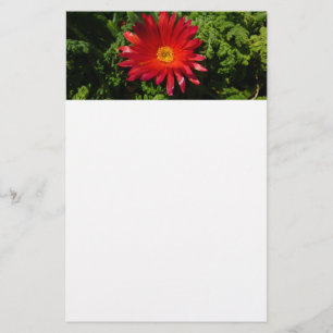 Red Ice Flower Colourful Carpet Plant Stationery