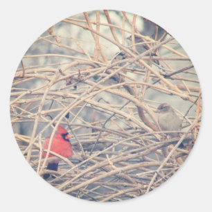 Red in a dreary winter by angelandspot. classic round sticker