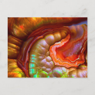 Red iridescent Fire Opal Postcard