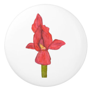 Red Iris Drawer Pull