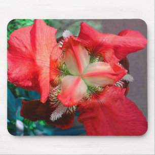 Red Iris Mousepad