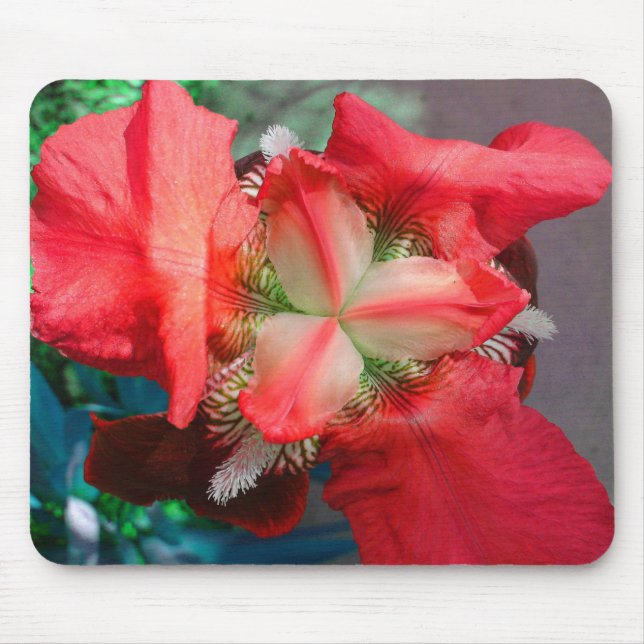 Red Iris Mousepad (Front)