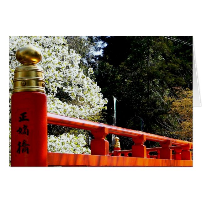 Red Japanese Bridge in Spring (Front Horizontal)