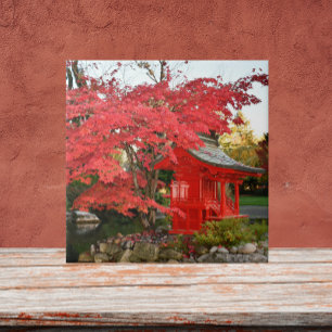 Red Japanese Maple and Garden Shrine Tile